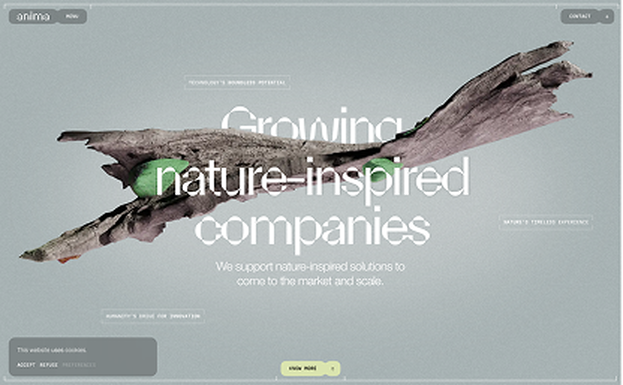 Anima AI nature-inspired company landing page